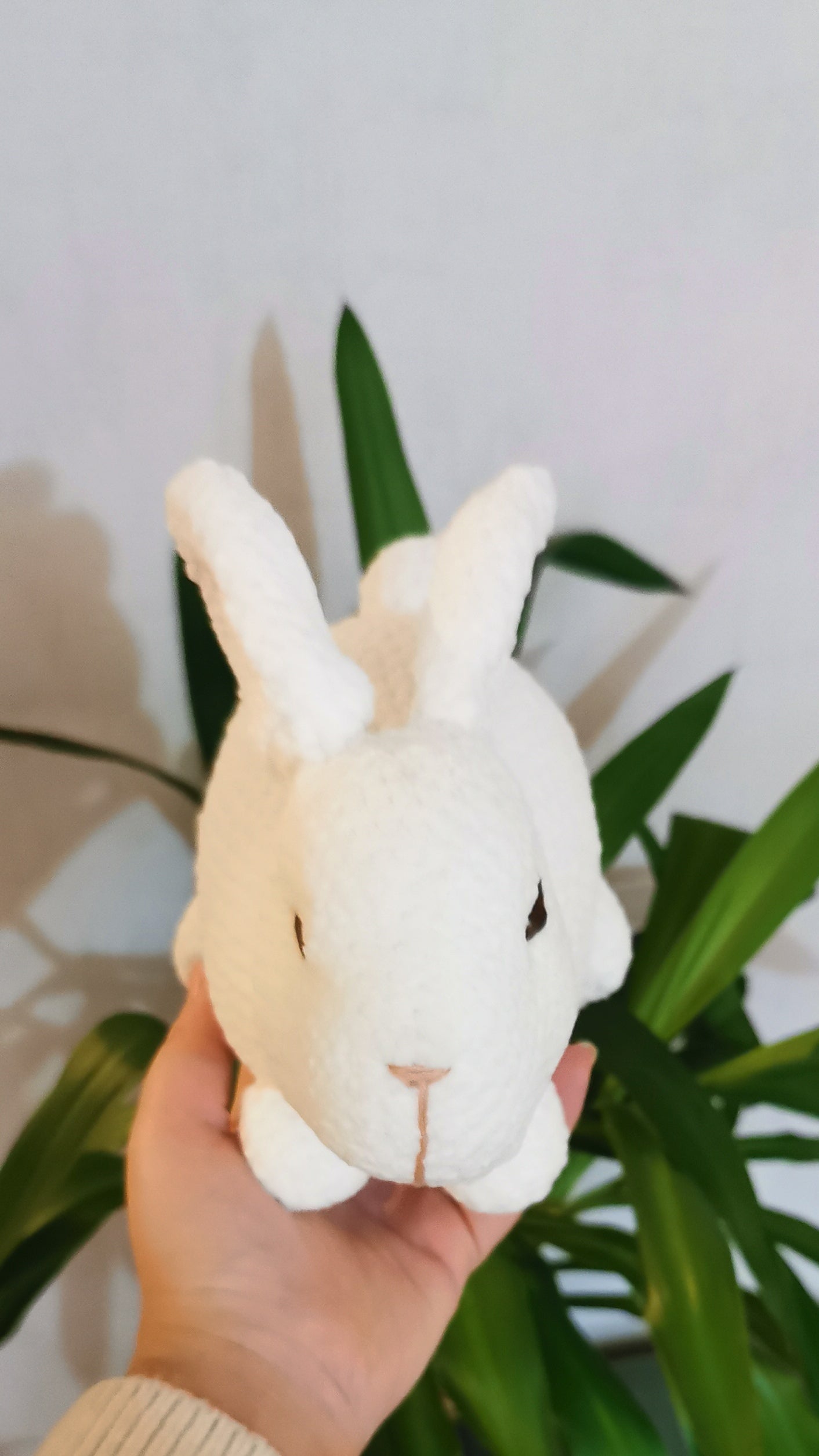 Lapin Blanc 🐰