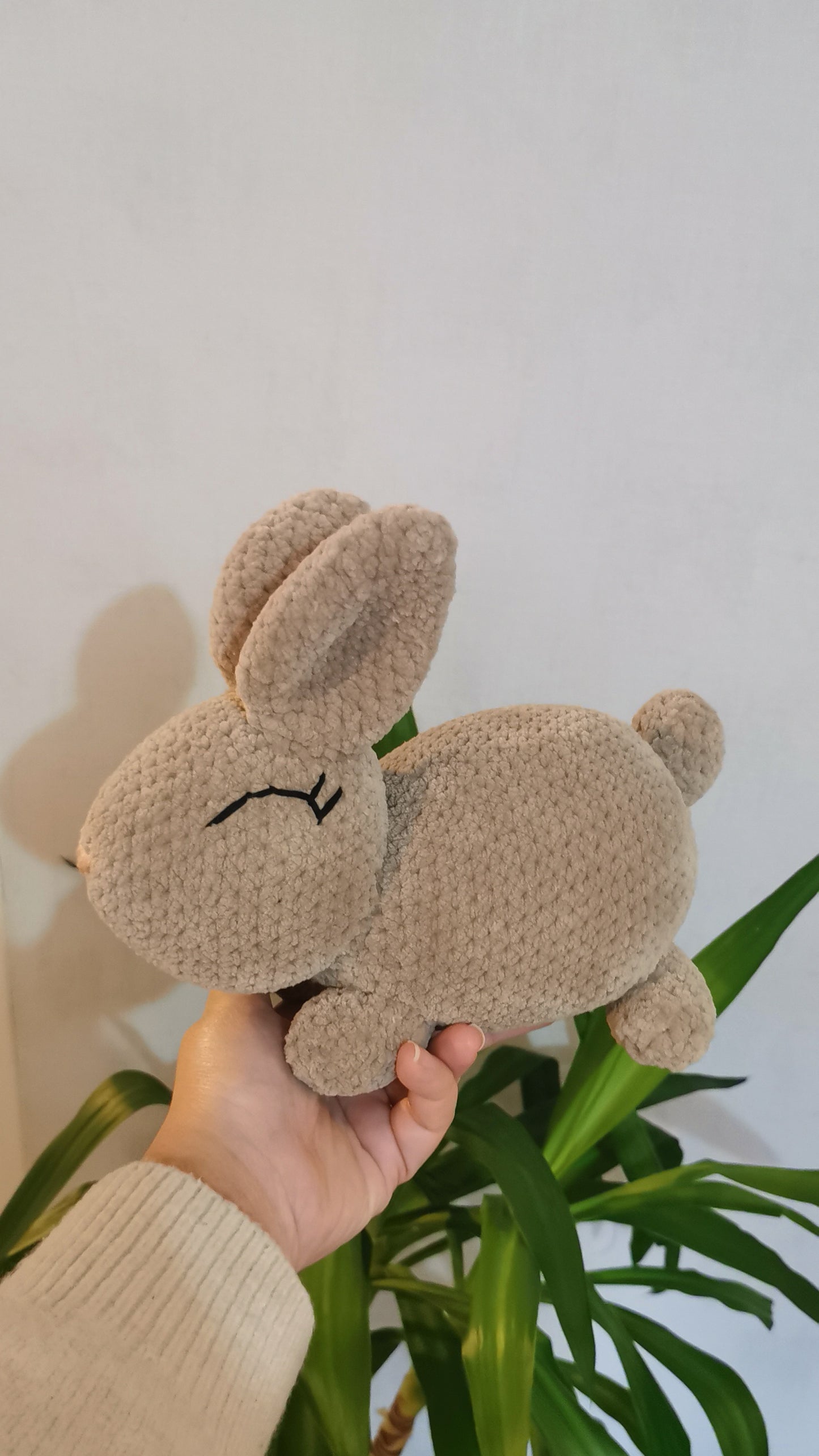 Lapin Beige 🐇