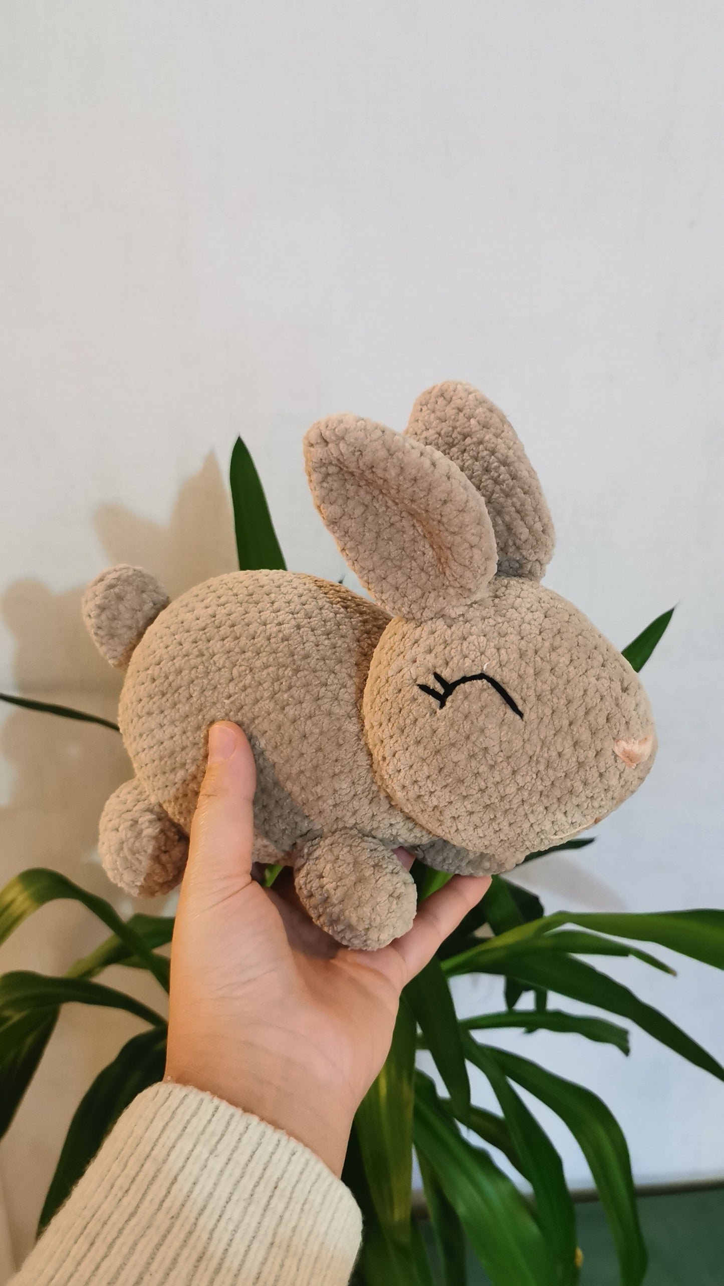 Lapin Beige 🐇